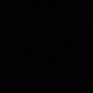 Meet your Posher, Rose